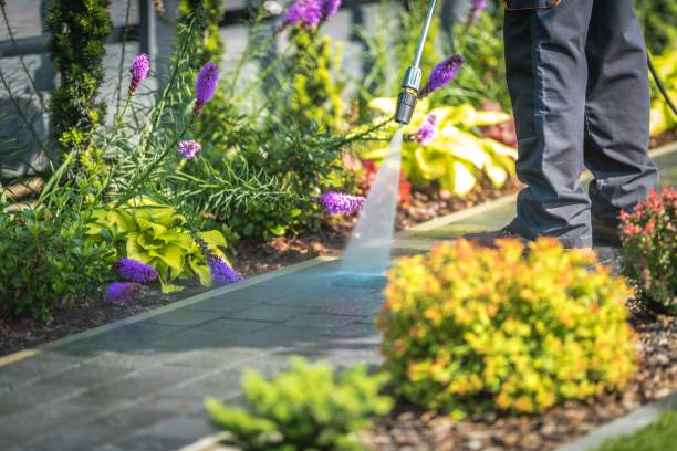 Best Spring Cleaning  in Potomac Park, CA