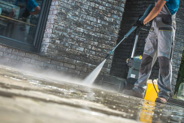Best Animal Enclosure Cleaning  in Potomac Park, CA